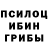 Галлюциногенные грибы мухоморы Vitya Osiychuk