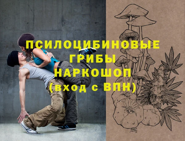 МДПВ Горно-Алтайск