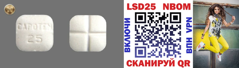 Купить  Оса  ЛСД экстази ecstasy 