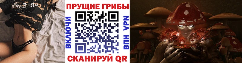 Псилоцибиновые грибы мицелий  Купить  Оса 